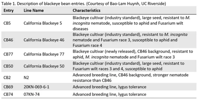 2025-1-31 Blackeye Bean Variety Evaluation Table 1
