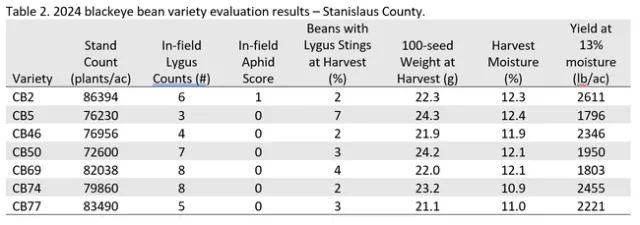 2025-1-31 Blackeye Bean Variety Evaluation Table 2
