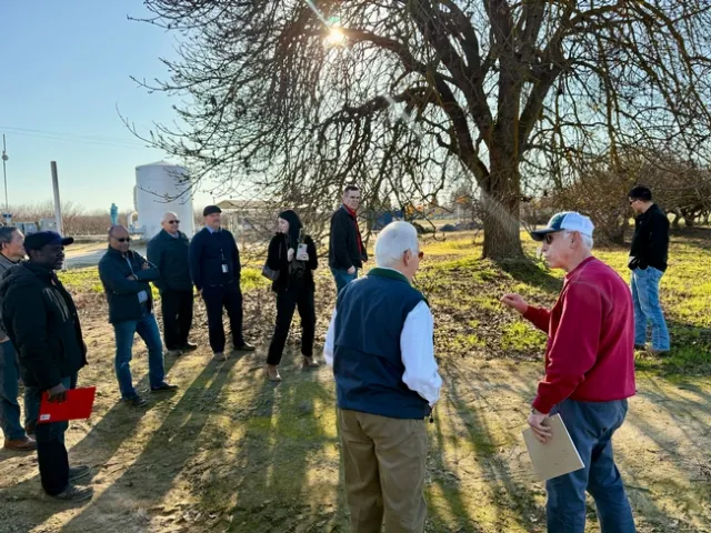 Plant pathologist Themis Michailides, in red sweatshirt, showed Costa the historic father pistachio tree. The original mother tree to all California pistachio trees died around 2012, said Ryan Puckett.