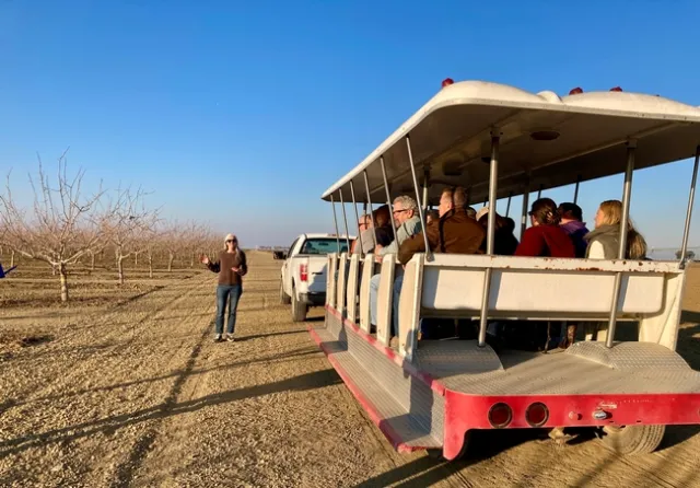 Mae Culumber described her pistachio pruning trials at West Side REC.