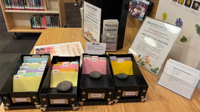 The Novato Library Seed Library Photo: Marie Steckmest