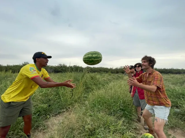 884C37B2-52C8-4600-90E5-4BF9DC1225B5_1_105_c (1)