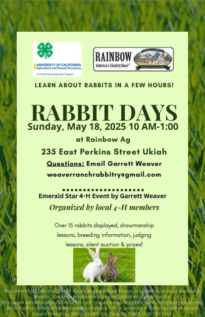Rabbit Days Flyer 20251