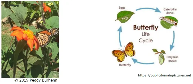 {3F0DD1A6-EEF7-4837-8714-E4792596D7D7}