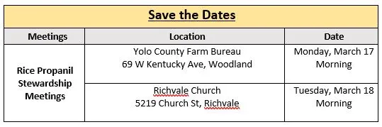 Save the Dates - Whitney