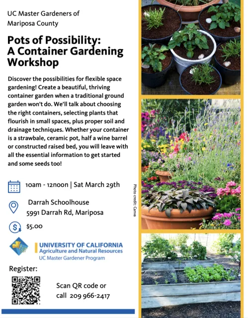 Pots of Possibility: Container Gardening