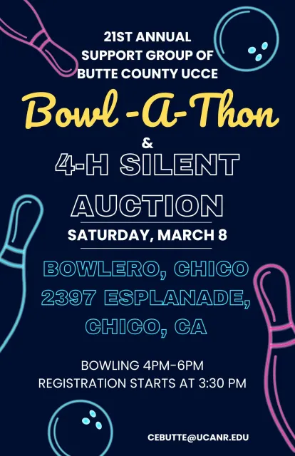 2025 Bowl-A-Thon 3pg_Page_1