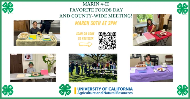 Fashion Revue-evaluators (2)