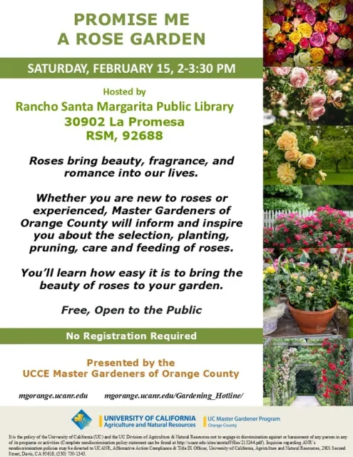 Grow Gorgeous Roses! Expert Tips to Make Them Thrive