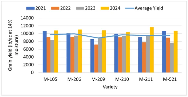 2025-2-7 Rice Variety Trial Figure 1