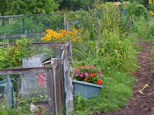 4795749925 9a1784e737 c