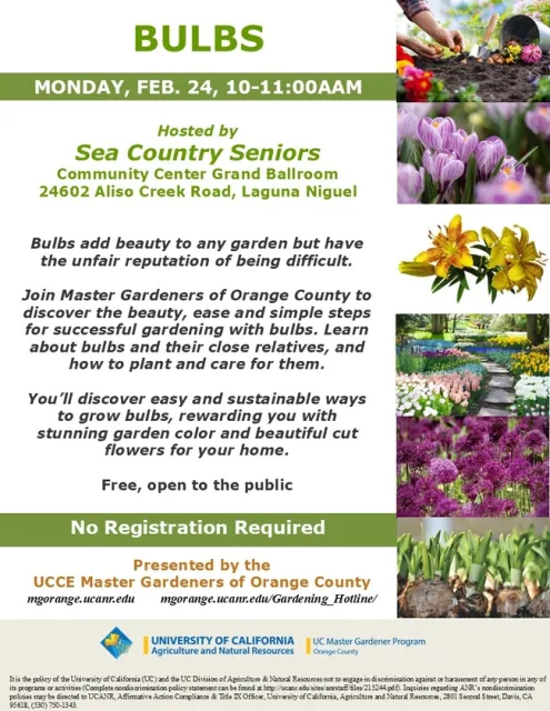 Unlock the Secret to Beautiful Bulbs—Join Us for This Event