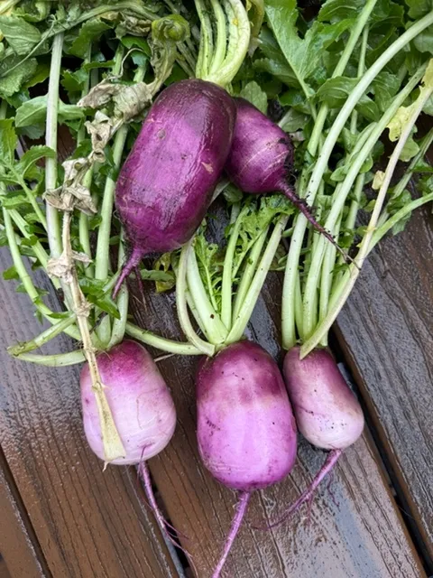 photos by Erin Mahaney