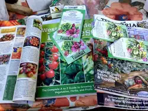 Seed-starting inspiration. Laura Kling