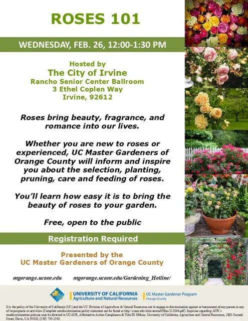Want Beautiful, Thriving Roses? Join Us for ROSES 101