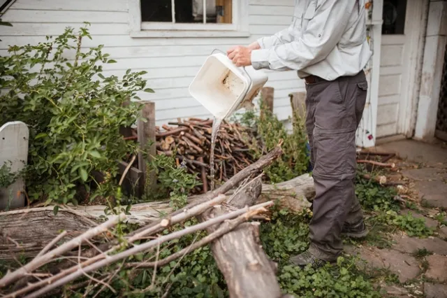 Person dumping a white bucket of water outside.
