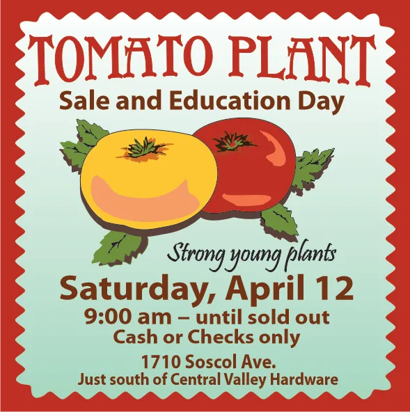 2025 Tomato Sale and Education Event