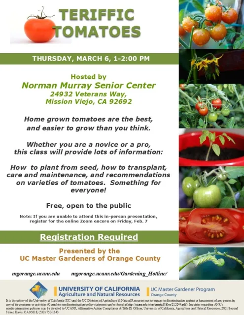 Novice or Pro? Unlock Tomato Growing Secrets in This Class