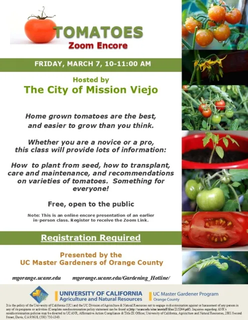 Grow Terrific Tomatoes — Join Our Zoom Encore