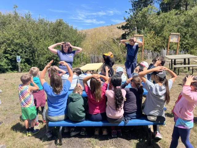 Outdoor Birthday Party