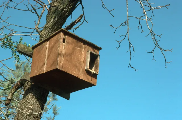 Owl nesting box. UC IPM Program