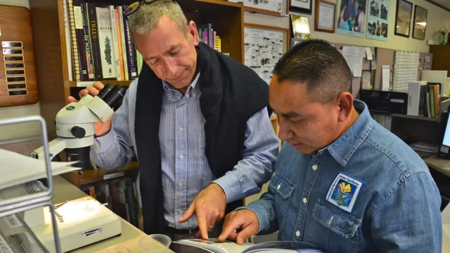 James & Selwyn Help Desk
