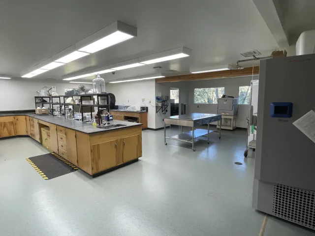 main lab