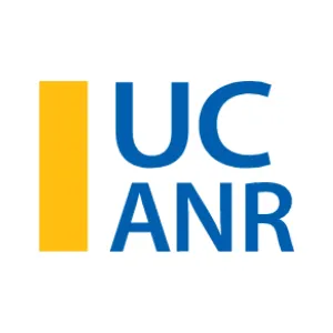 Development Services Logo