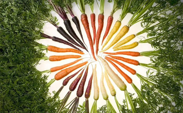 colorful carrots
