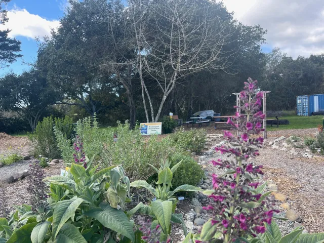 Pinto Lake Garden