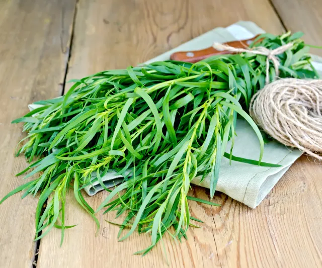 tarragon
