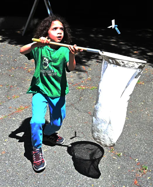 This is the second consecutive year that the Bohart will pitch its pop-up tent at Briggs.