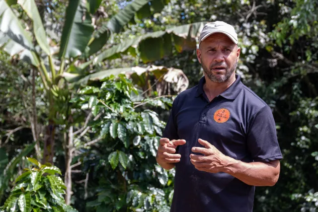 A man wearing a tan baseball cap with coffee plants and lush foliage in the background