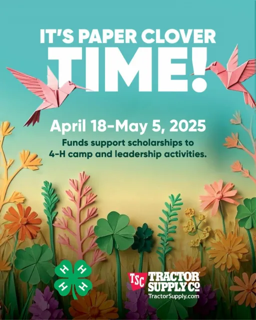 It's paper clover time! April 18-May 5, 2025. Funds support scholarships to 4-H camp and leadership activities.