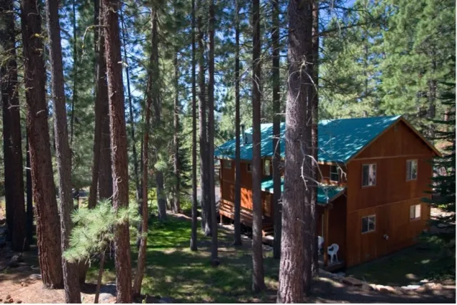 A cabin in the woods