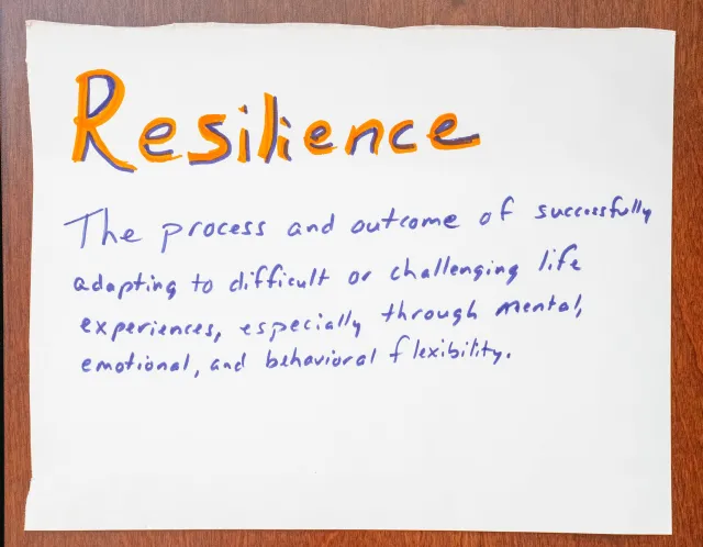 Resilience-The process and outcome of successfully adapting to difficult or challenging life experiences, especially through mental, emotional, and behavioral flexibility.