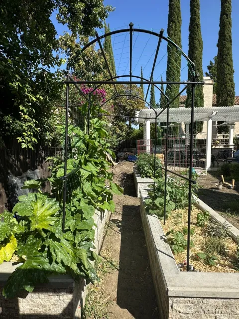 trellis for squash