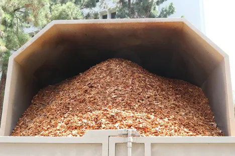 A pile of fresh wood chips in a truck. 