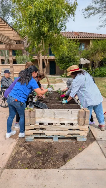 People working in a raised bed garden