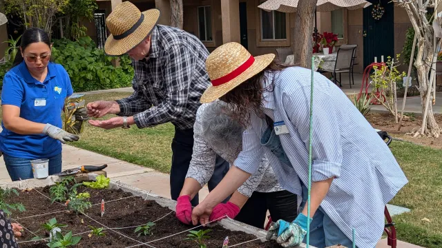 People working in a raised bed garden