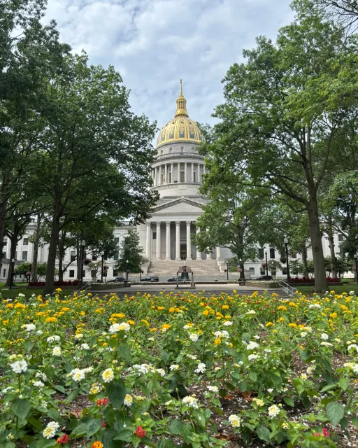 Capitol building and rotunda with lantana plants in foreground