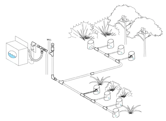 An illustration of a laundry to landscape graywater system with pipes from the laundry machine branching out toward different trees and shrubs on the property.