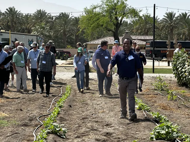 attendees walking one of the fields during the event.