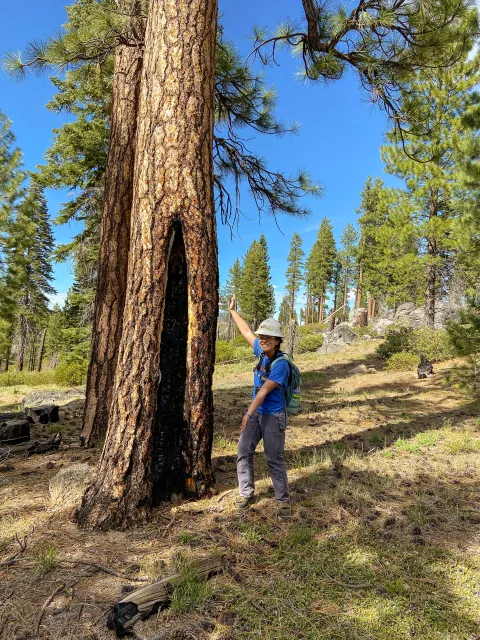 Katie Low gestures next to a tree