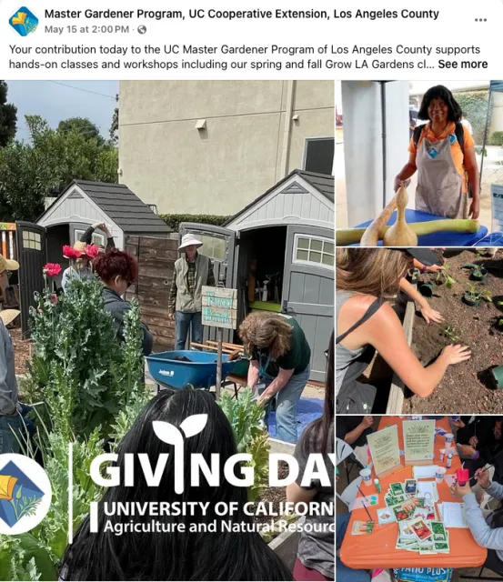 Your contribution today to the UC Master Gardener Program of Los Angeles County supports hands-on classes and workshops including our spring and fall Grow LA Gardens