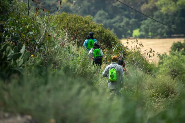 Volunteers hiking on a hillside trail during.