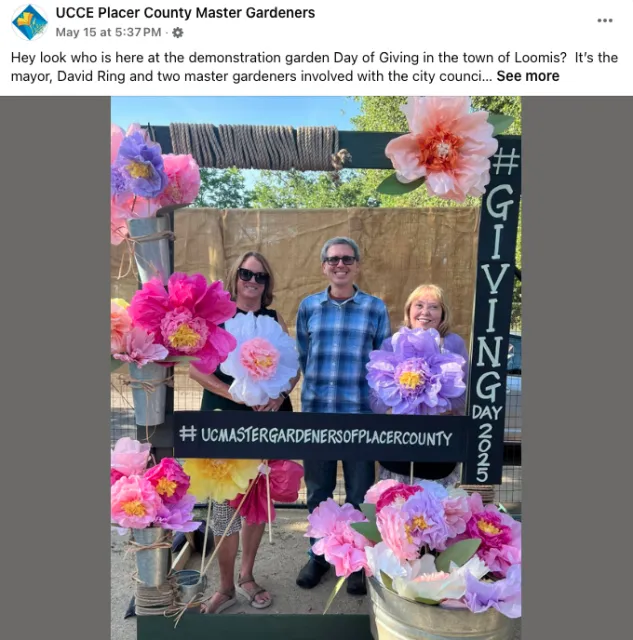 Hey look who is here at the demonstration garden Day of Giving in the town of Loomis? It’s the mayor, David Ring and two master gardeners involved with the city council
