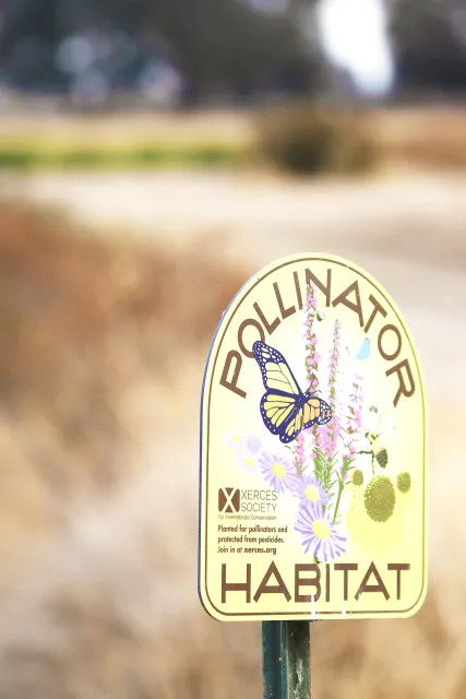 Pollinator Habitat Sign