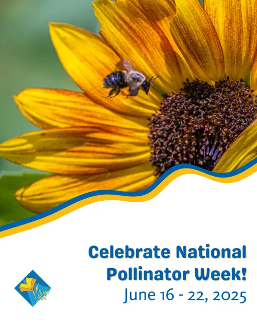 National Pollinator Week