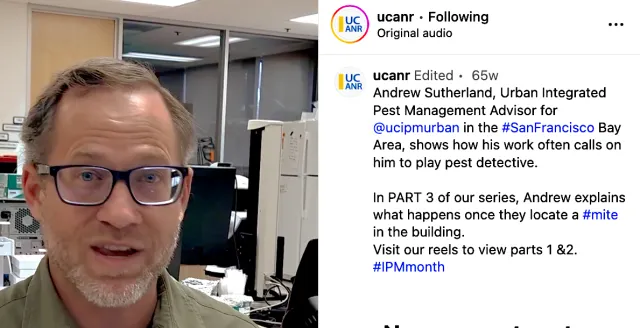 Andrew Sutherland in video on tropical rat mites